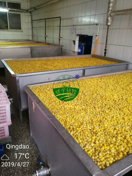 мастерская по производству вишневого сырья